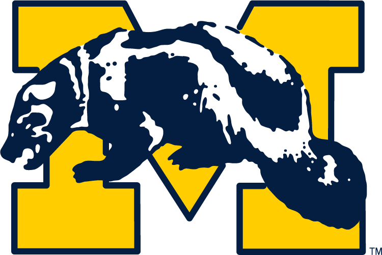 Michigan Wolverines 1964-1978 Primary Logo iron on transfers for fabric